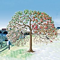 General Guide to Albion